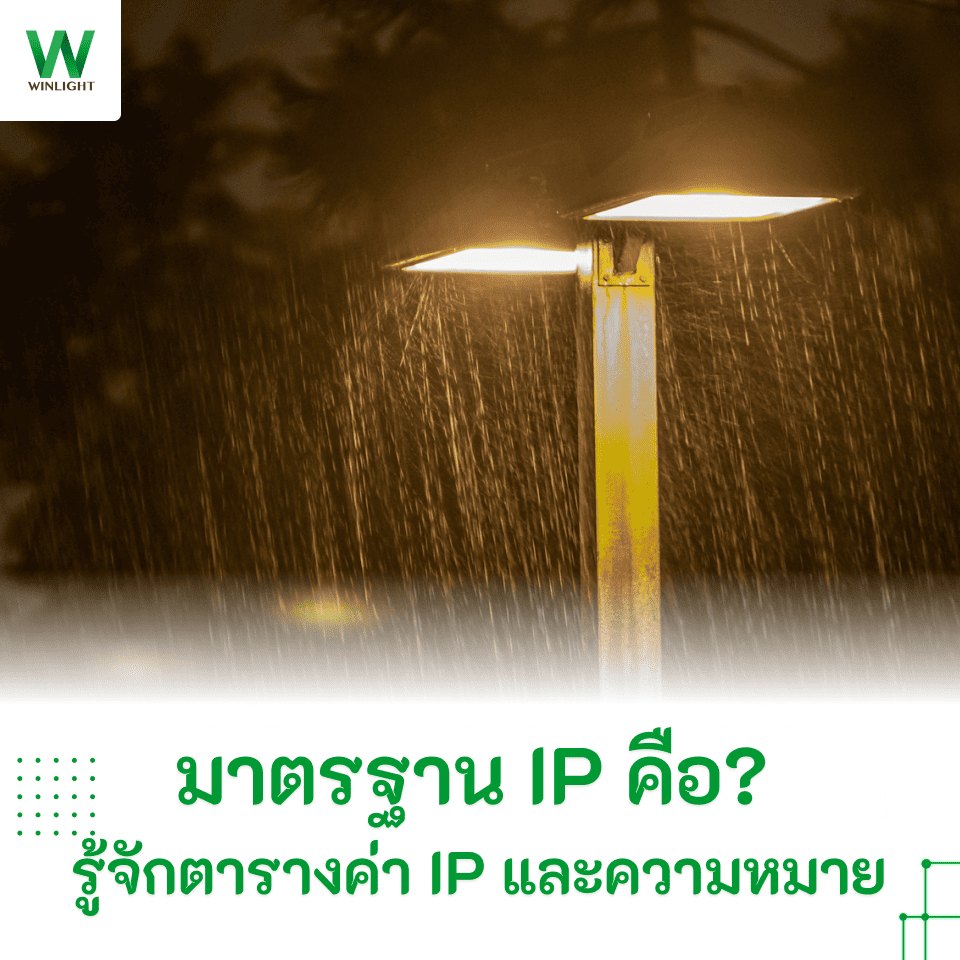 ภาพปกบทความมาตรฐาน IP คือ