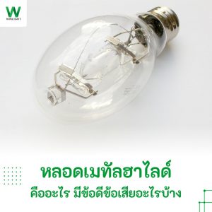 ภาพปกบทความหลอดเมทัลฮาไลด์ คืออะไร